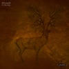 Ahrwald - In the Fog