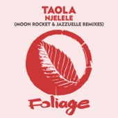 Njelele (Moon Rocket Remix) artwork