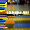 Buscando (A Mi Tierra) - Single