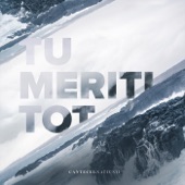 Tu Meriti Tot artwork