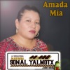 Amada mía Vol. 4