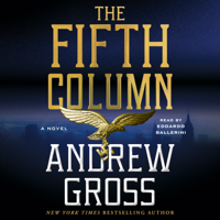 Andrew Gross - The Fifth Column artwork
