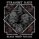 Straight Hate - Meaningless Trash