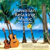 ハワイアンリラクシングミュージック~風と波、海辺の散歩~ artwork