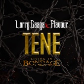 Tene (Living In Bondage) artwork