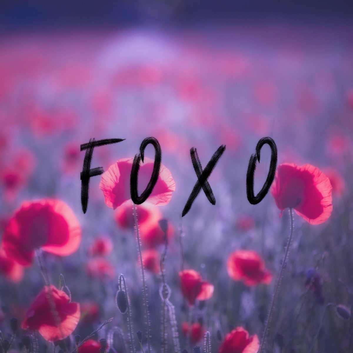 F o x s i