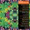 Communication Control - Hector Plimmer lyrics