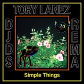 DJDS - Simple Things