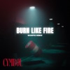 Burn Like Fire (SCARFIE Remix) - Single