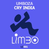Cry India (Tall Paul Remix) artwork
