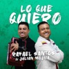 Lo Que Quiero - Single