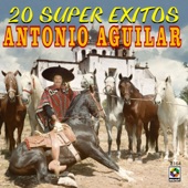 20 Súper Éxitos artwork