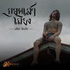ปรีชา ปัดภัย - กอดเสาเถียง (Story จักรวาลไทบ้าน) (เซิ้ง Music)