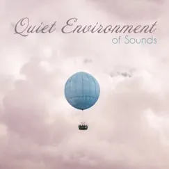 Quiet Environment of Sounds: Relaxation with Nature, Deep Frequencies, Soothing Instrumental Zone by Relaxing Music Oasis album reviews, ratings, credits