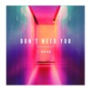 Don't Need You - Single