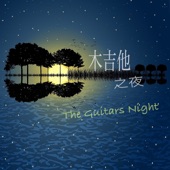 木吉他之夜 artwork