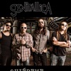 Genitallica