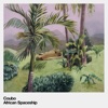 African Spaceship - Single