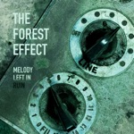 The Forest Effect - From the Otherside