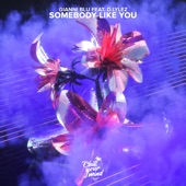 Somebody Like You (feat. D.Lylez) artwork