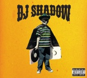 DJ Shadow - You Made It (feat. Chris James)