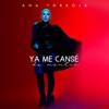 Ya Me Cansé de Mentir - Single