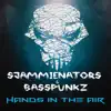 Hands in the Air (feat. Basspunkz) - Single album lyrics, reviews, download