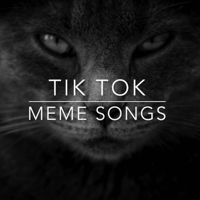 Various Artists - Tik Tok Meme Songs artwork