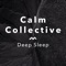 Drifting, Pt. 9 - Calm Collective lyrics