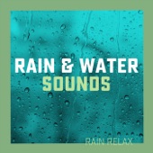 Rain & Water Sounds artwork