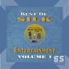 Best of Silk Entertainment, Vol.1