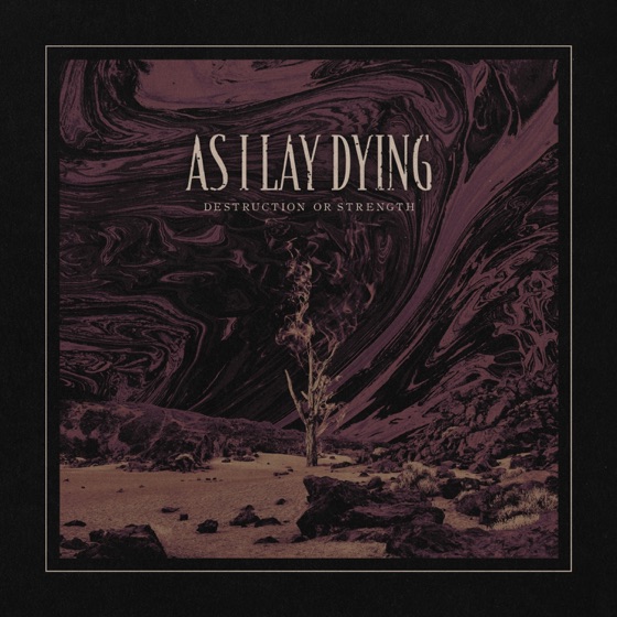 Cover artwork for Destruction or Strength