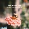 Bee in the Sun (feat. The Kaleidoscope Kid) - Cori Rios lyrics