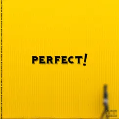 Perfect! - Single by Mchale album reviews, ratings, credits