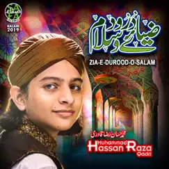 Zia E Durood O Salam - Single by Muhammad Hassan Raza Qadri album reviews, ratings, credits