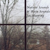 Nature Sounds and Rain Sounds for Sleeping artwork