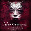 Profane Metamorphosis (feat. ECHO) - Single album lyrics, reviews, download