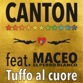 Tuffo al cuore (feat. Maceo El Perro Blanco) artwork