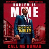 Call Me Human (feat. Skip Marley & French Montana) artwork