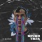 Mismo Tren - D. Krugga lyrics