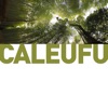 Caleufu