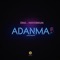 Adanma (feat. Mayorkun) - DNA lyrics