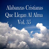 Alabanzas Cristianas Que Llegan al Alma, Vol. 35 artwork