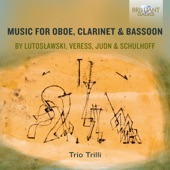 Divertissement for Oboe, Clarinet and Bassoon: V. Tema con variazioni e fugato artwork