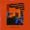 Before You Wake Up - Single, 2019