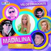 Dragul Meu, Draga Mea (feat. Nicolae Guta) artwork