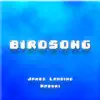 Birdsong (Extended Mix) - Single album lyrics, reviews, download