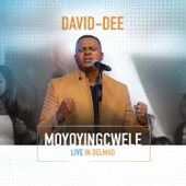 MoyOyingcwele (Live in Delmas) artwork