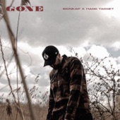 Gone (feat. Hard Target) artwork