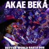 Better World Rasta Dub artwork